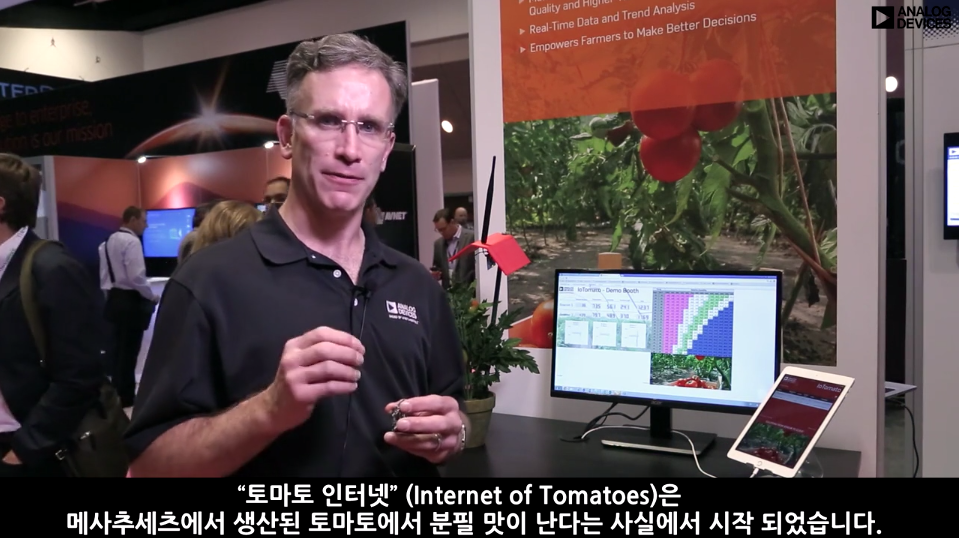 토마토 인터넷(The Internet of Tomatoes)